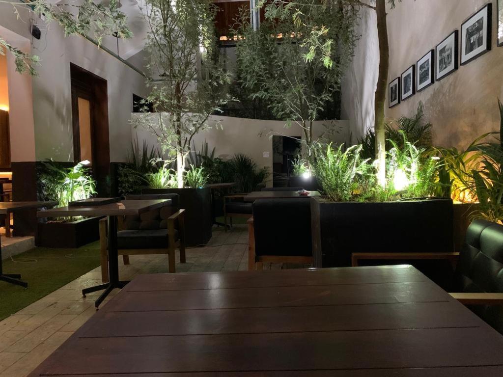 Frontera 49 Roma Norte Hostal Мехико Экстерьер фото
