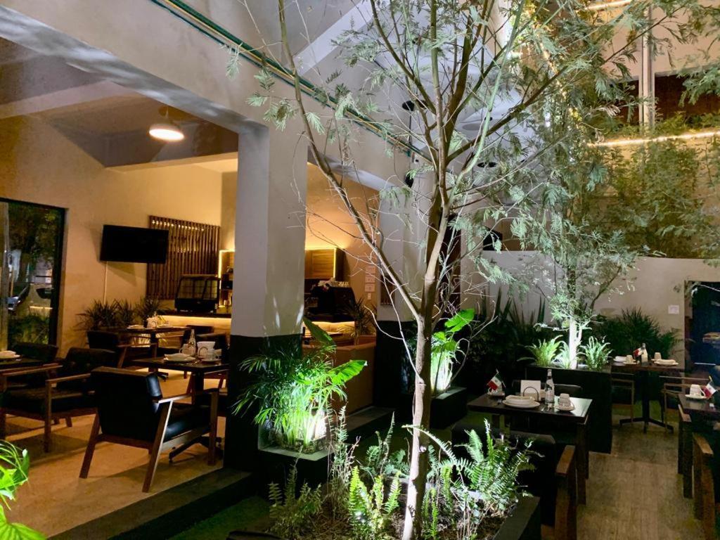 Frontera 49 Roma Norte Hostal Мехико Экстерьер фото