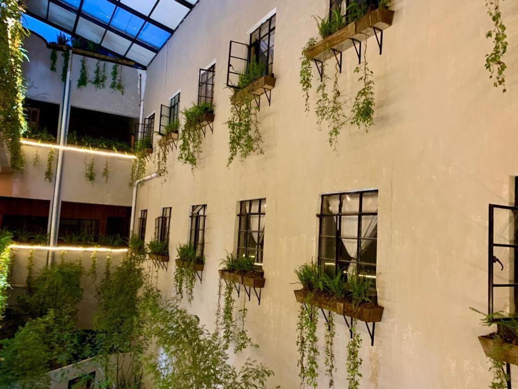 Frontera 49 Roma Norte Hostal Мехико Экстерьер фото