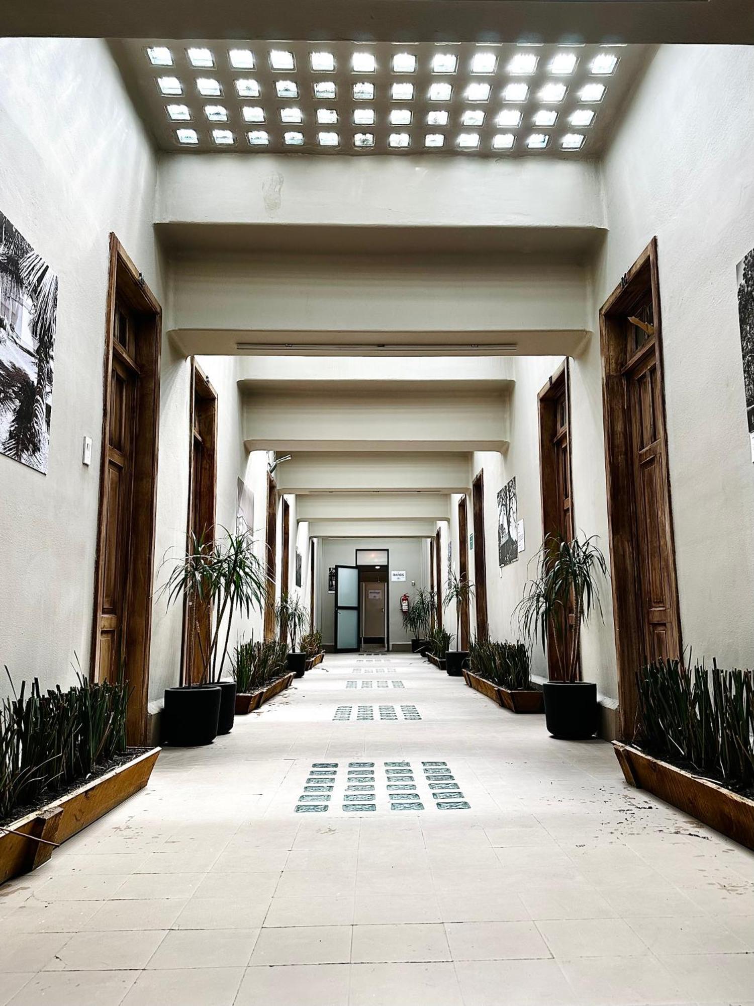 Frontera 49 Roma Norte Hostal Мехико Экстерьер фото