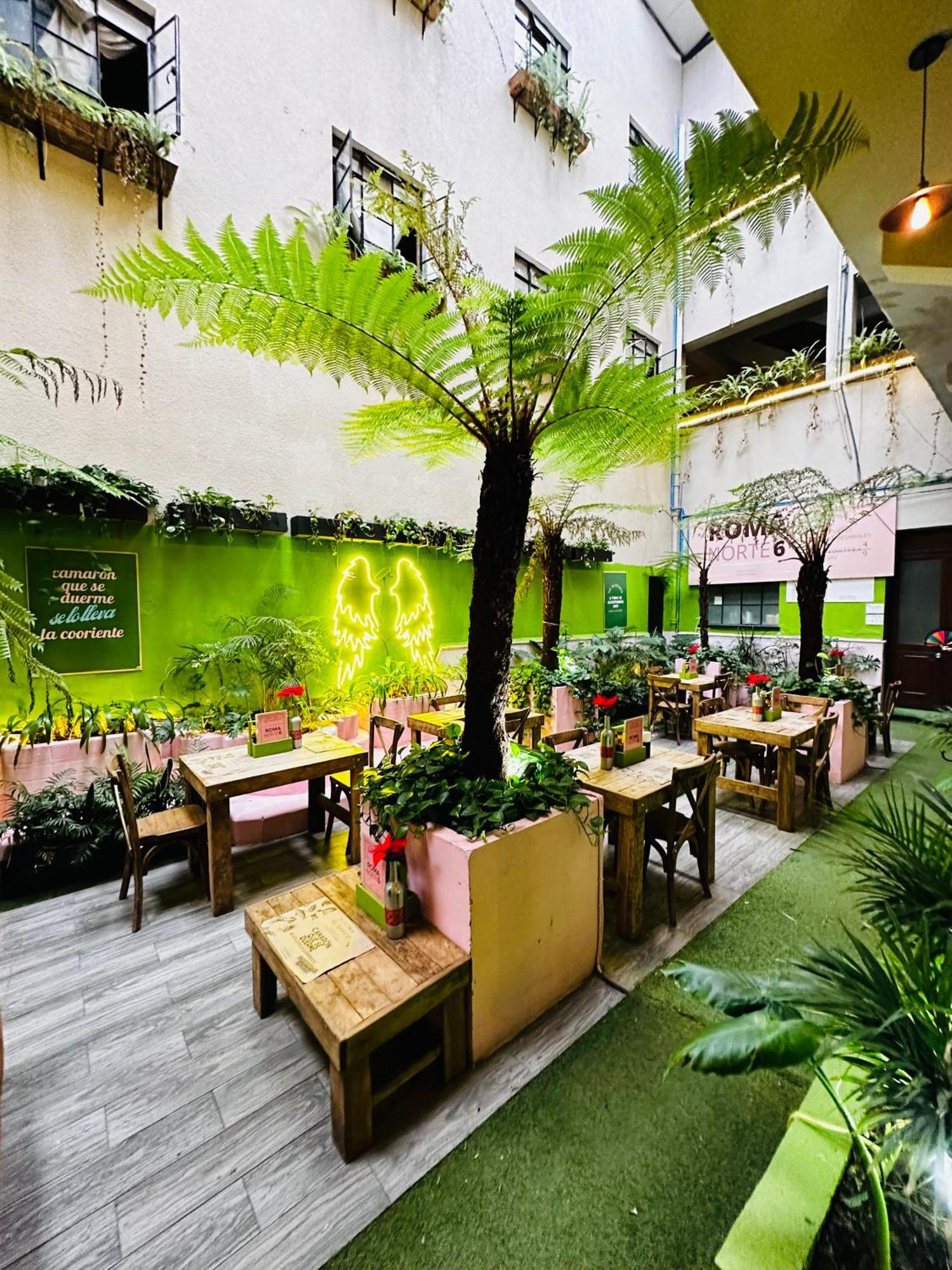 Frontera 49 Roma Norte Hostal Мехико Экстерьер фото