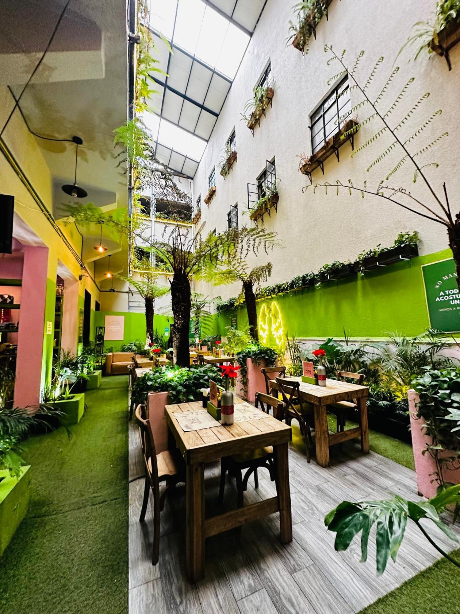 Frontera 49 Roma Norte Hostal Мехико Экстерьер фото