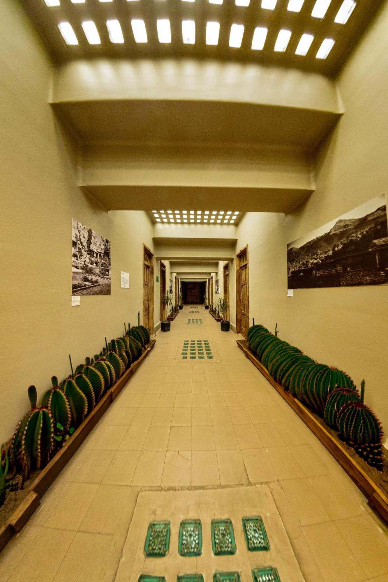 Frontera 49 Roma Norte Hostal Мехико Экстерьер фото